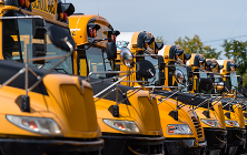 Row of yellow school buses