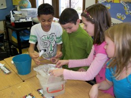 Students working together on a project